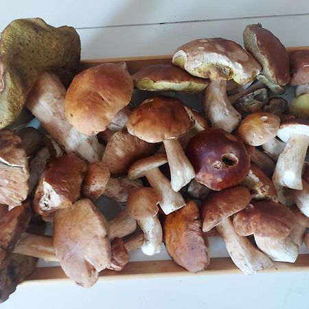 Apartmán Jáchymov Krušné hory Esterno foto