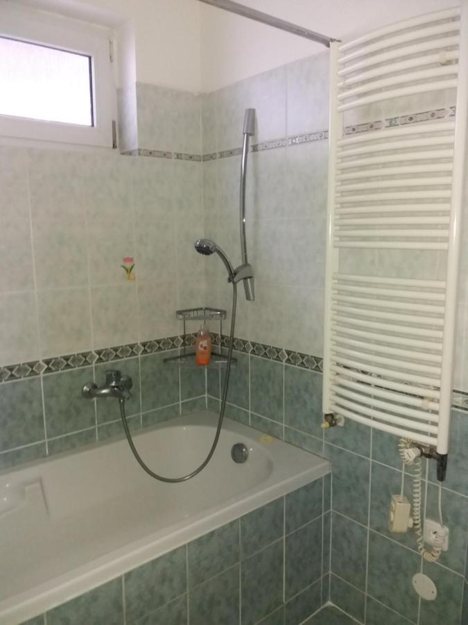 Apartmán Jáchymov Krušné hory Esterno foto