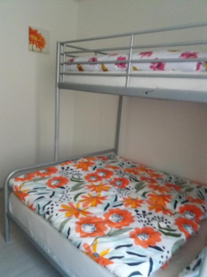 Apartmán Jáchymov Krušné hory Esterno foto