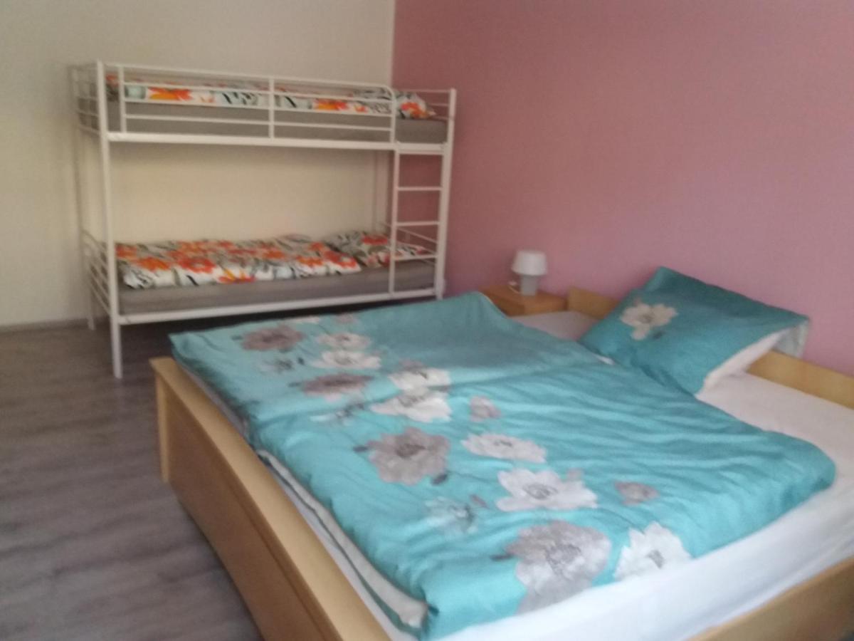 Apartmán Jáchymov Krušné hory Esterno foto