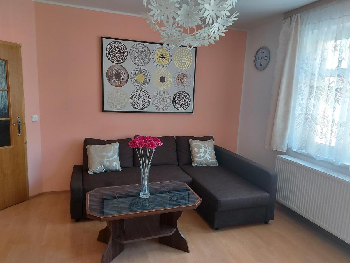Apartmán Jáchymov Krušné hory Esterno foto