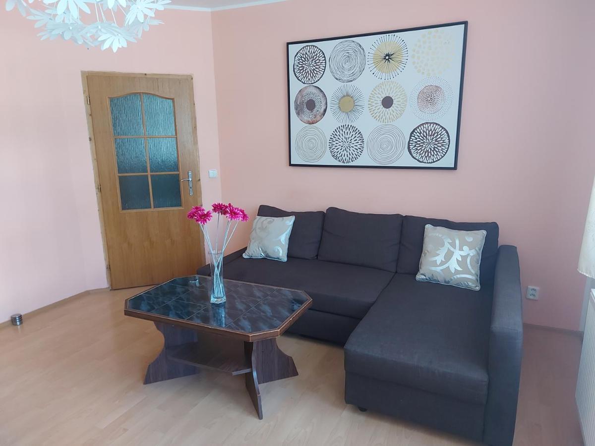 Apartmán Jáchymov Krušné hory Esterno foto