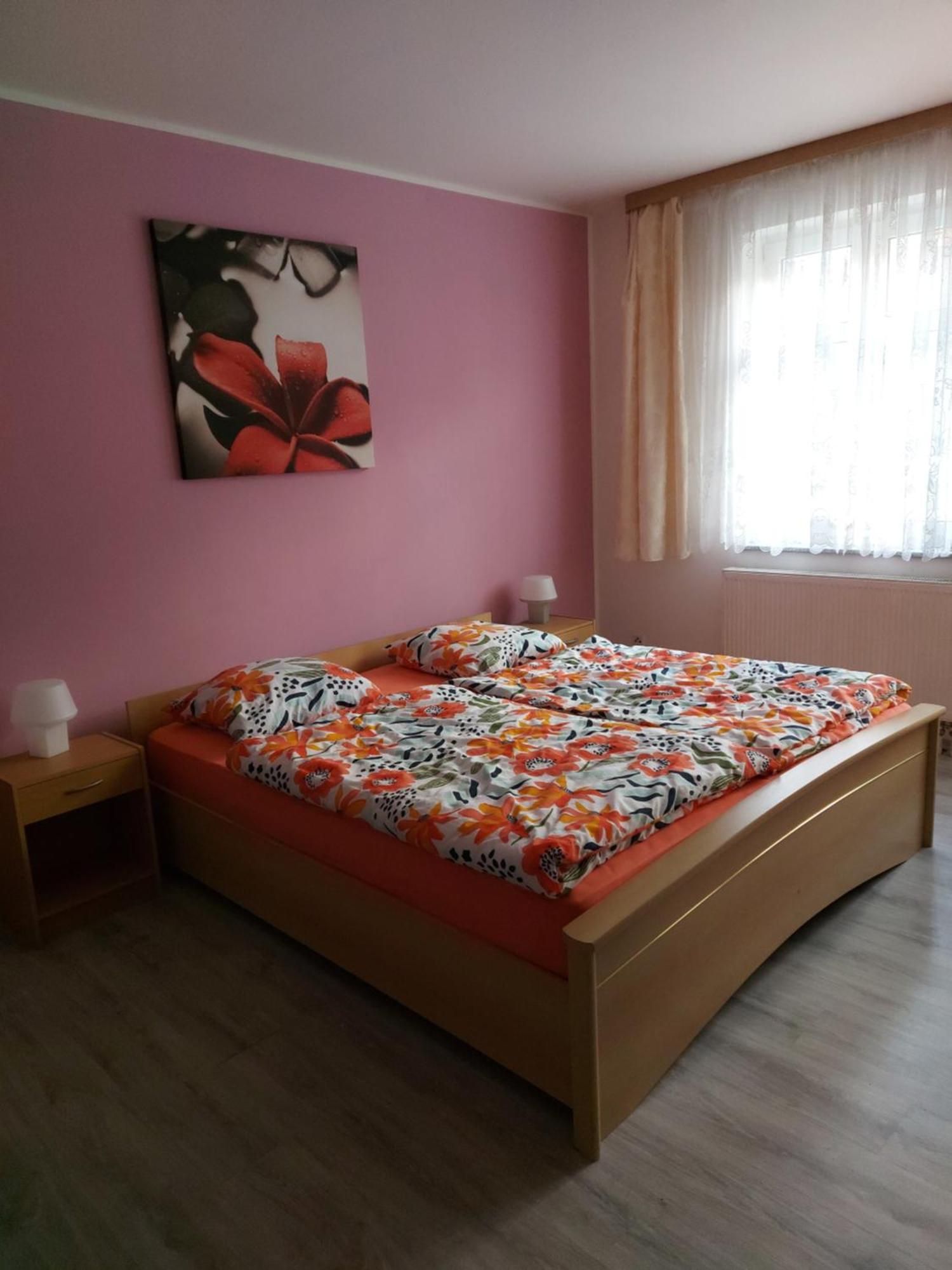 Apartmán Jáchymov Krušné hory Esterno foto