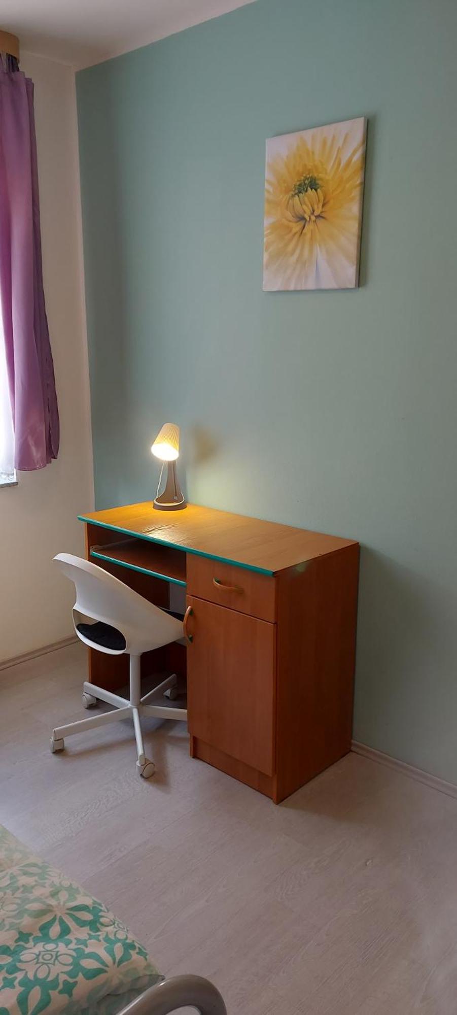Apartmán Jáchymov Krušné hory Esterno foto