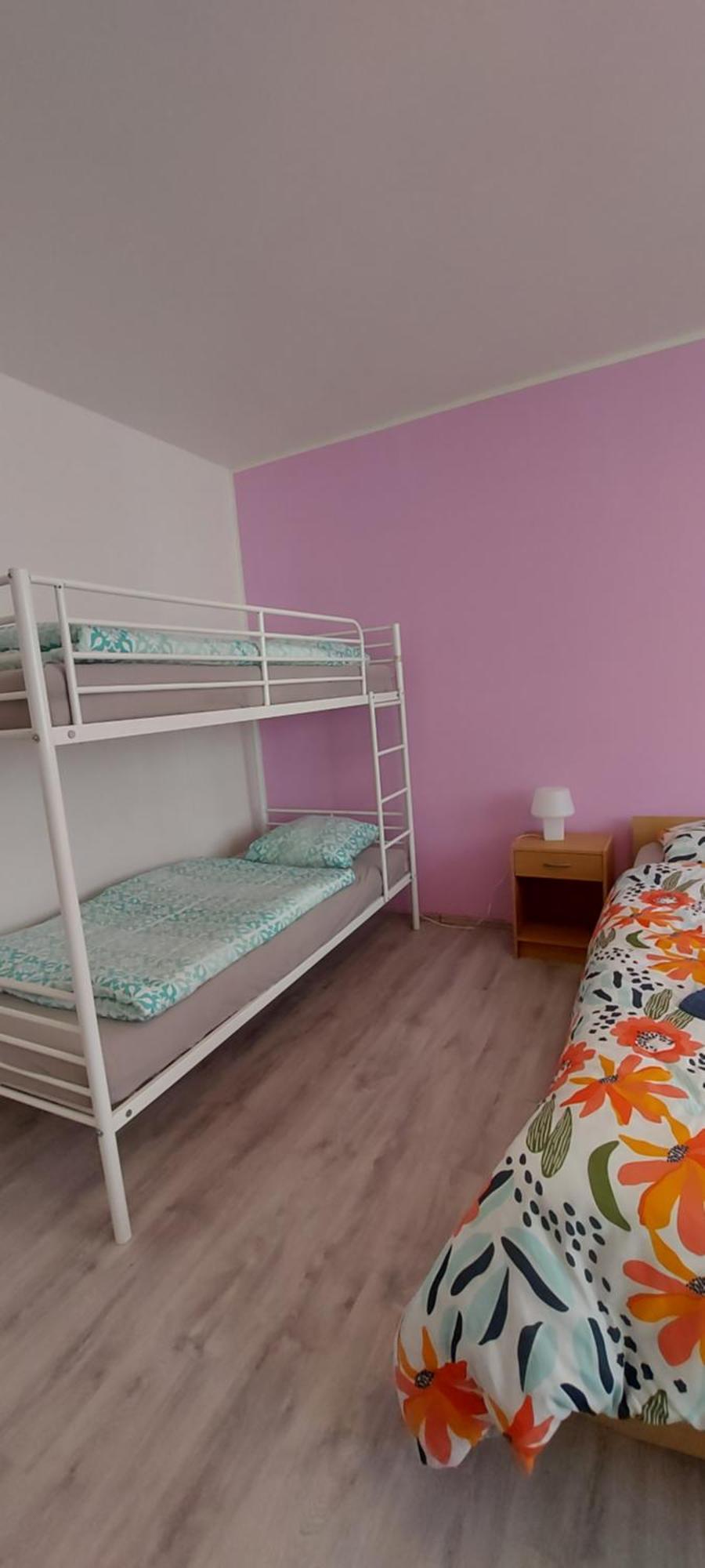 Apartmán Jáchymov Krušné hory Esterno foto