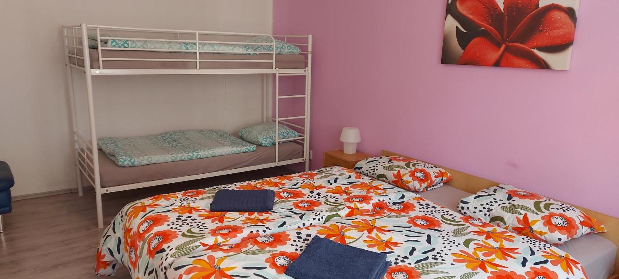 Apartmán Jáchymov Krušné hory Esterno foto